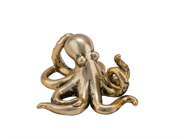 Octopus gro&szlig;